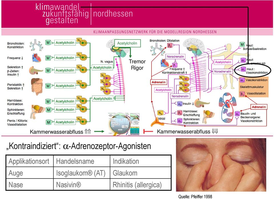 α-adrenozeptor-agonisten Applikationsort Handelsname