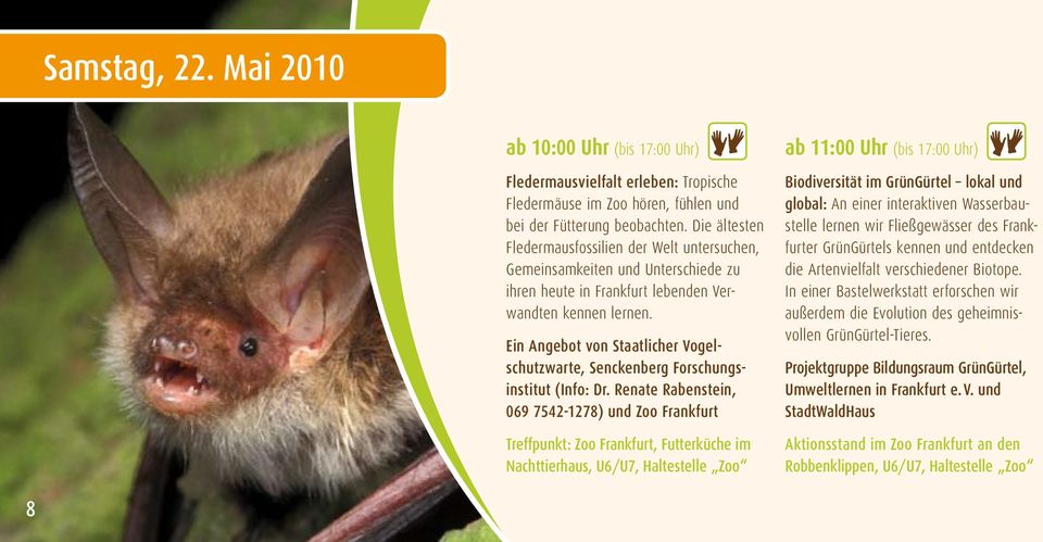 Ein Angebot von Staatlicher Vogelschutzwarte, Senckenberg Forschungsinstitut (Info: Dr.