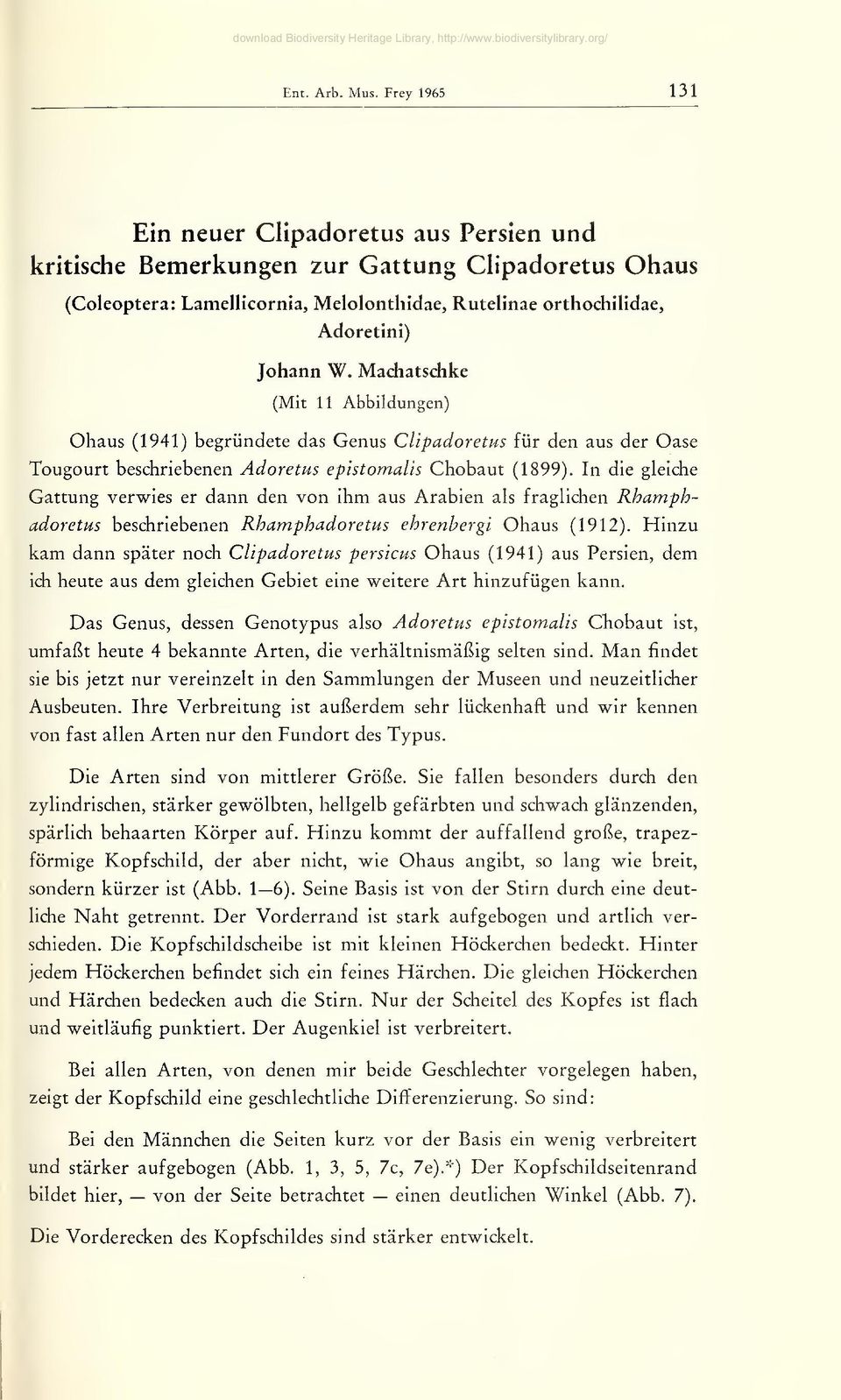 Machatschke (Mit 11 Abbildungen) Obaus (1941) begründete das Genus Clipadoretus für den aus der Oase Tougourt beschriebenen Adoretus epistomalis Chobaut (1899).