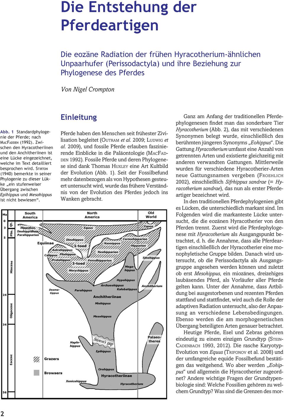 STIRTON (1940) bemerkte in seiner Phylogenie zu dieser Lükke ein stufenweiser Übergang zwischen Epihippus und Mesohippus ist nicht bewiesen.