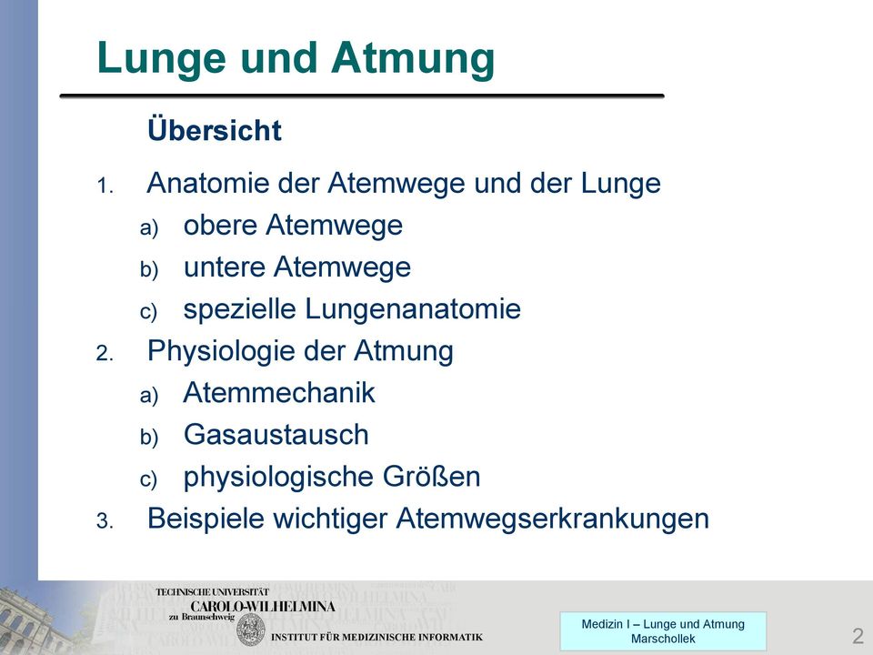 Atemwege c) spezielle Lungenanatomie 2.