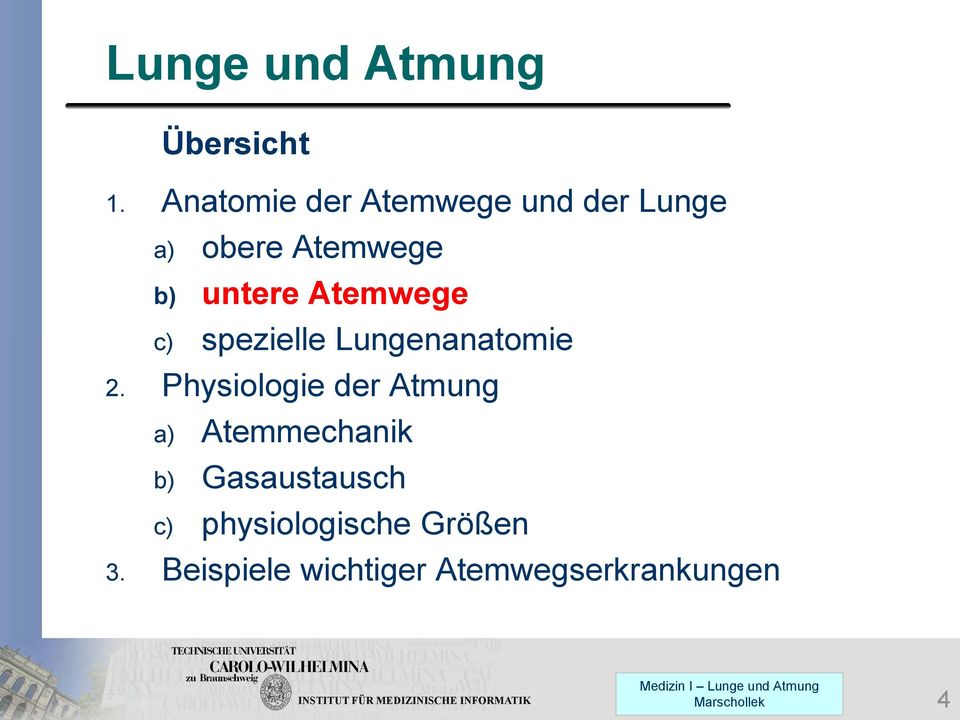 Atemwege c) spezielle Lungenanatomie 2.