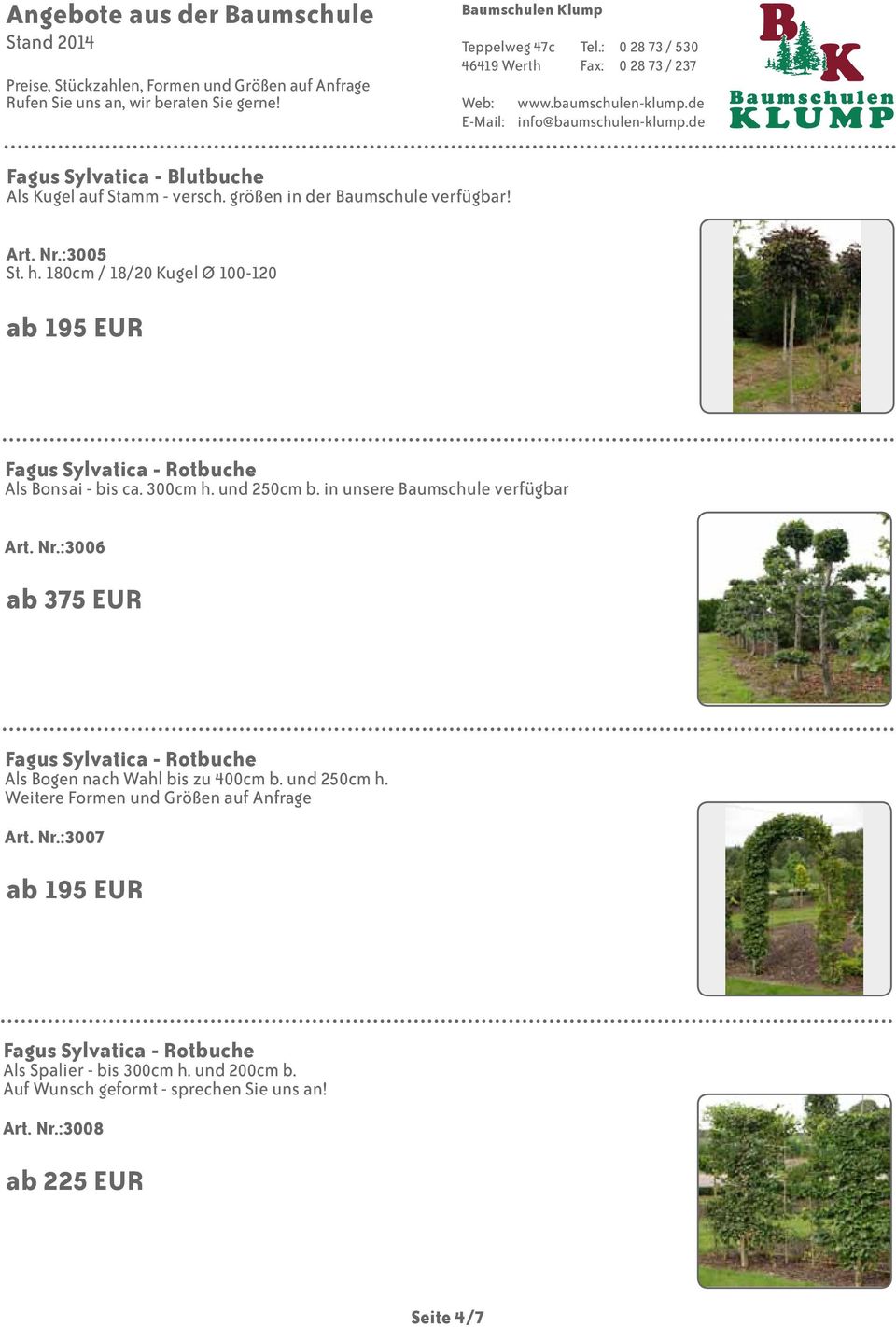 in unsere Baumschule verfügbar Art. Nr.:3006 ab 375 EUR Fagus Sylvatica - Rotbuche Als Bogen nach Wahl bis zu 400cm b.