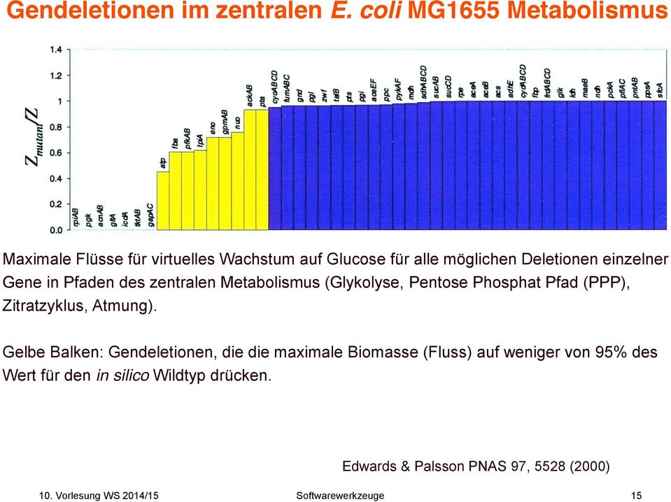 einzelner Gene in Pfaden des zentralen Metabolismus (Glykolyse, Pentose Phosphat Pfad (PPP), Zitratzyklus, Atmung).