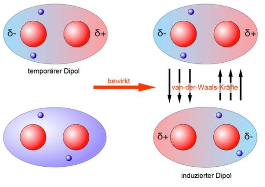 VAN-DER-WAAS- Wechselwirkungen Schwächste Art der Wechselwirkung. Zwischen temporären (durch zufällige Elektronenverteilung) und induzierten Dipolen. Vorkommen bei atomaren und bei unpolaren Stoffen.