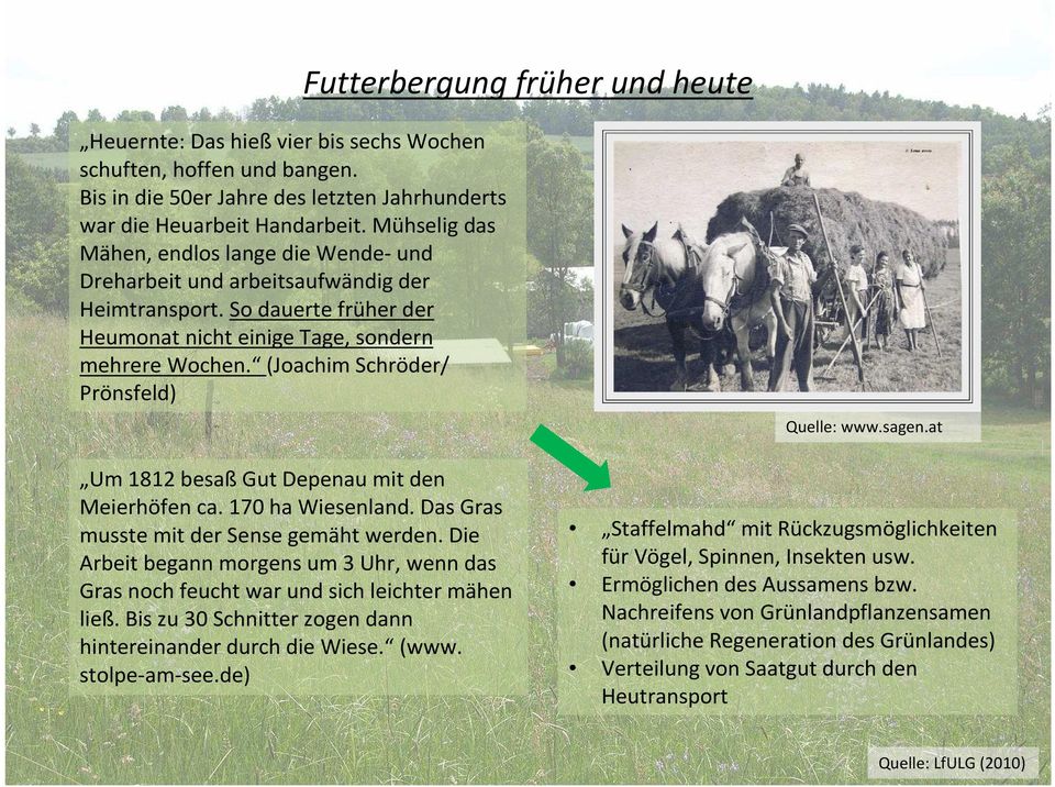 (Joachim Schröder/ Prönsfeld) Um 1812 besaß Gut Depenau mit den Meierhöfen ca. 170 ha Wiesenland. Das Gras musste mit der Sense gemäht werden.