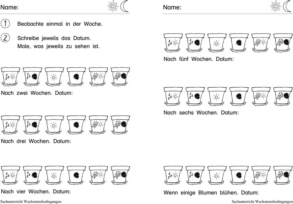 Datum: Nach sechs Wochen. Datum: Nach drei Wochen. Datum: Nach vier Wochen.