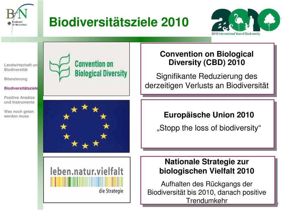 Was noch getan werden muss Europäische Union 2010 Stopp the loss of biodiversity Nationale Strategie zur biologischen