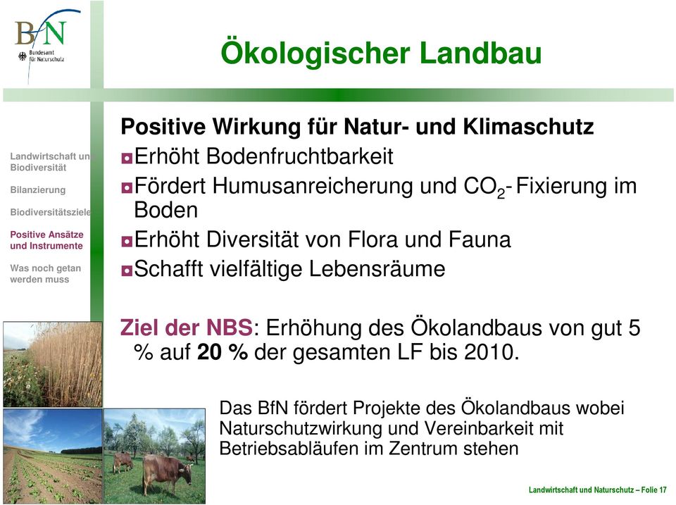 Flora und Fauna Schafft vielfältige Lebensräume Ziel der NBS: Erhöhung des Ökolandbaus von gut 5 % auf 20 % der gesamten LF bis 2010.