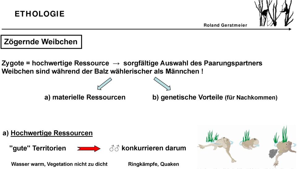 a) materielle Ressourcen b) genetische Vorteile (für Nachkommen) a) Hochwertige