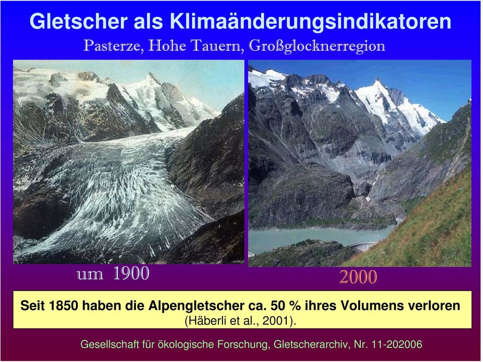 Alpengletscher ca. 50 % ihres Volumens verloren (Häberli et al.