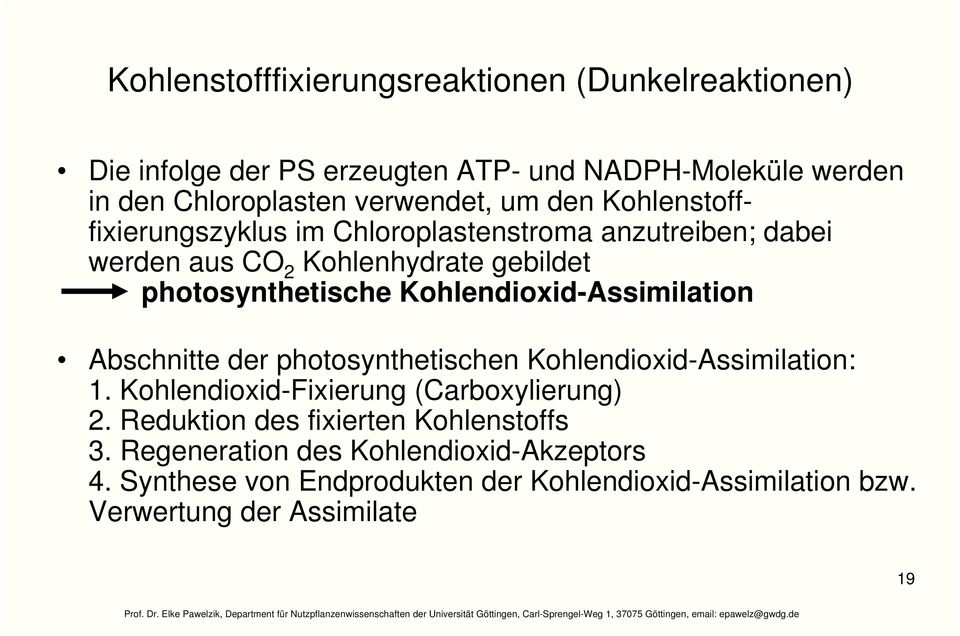 Kohlendioxid-Assimilation Abschnitte der photosynthetischen Kohlendioxid-Assimilation: 1. Kohlendioxid-Fixierung (arboxylierung) 2.