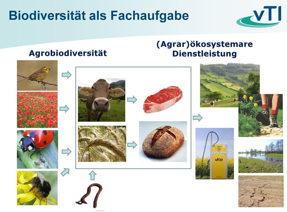 Agrobiodiversität