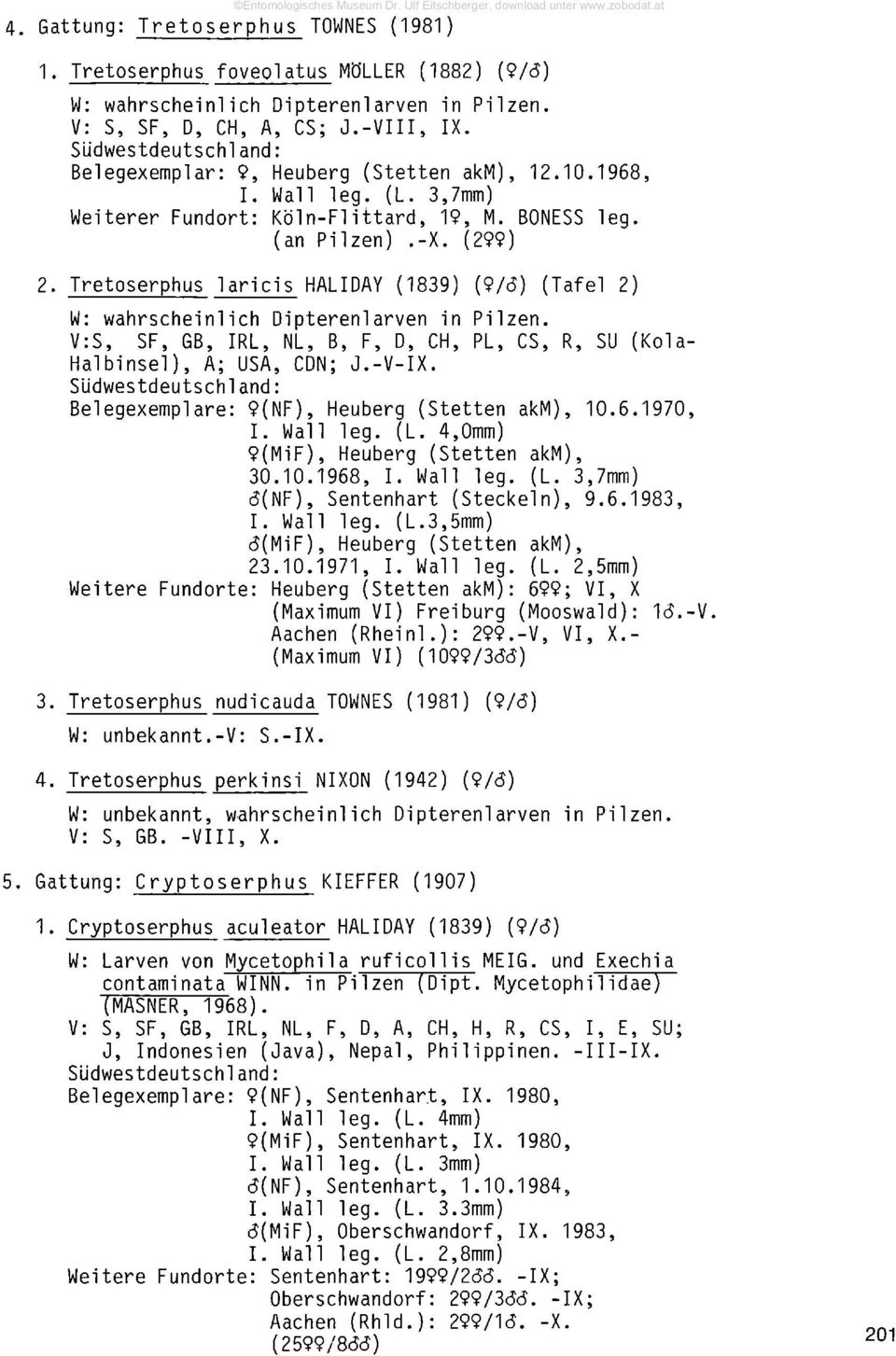 Tretoserphus laricis HALIDAY (1839) {9/6) (Tafel 2) W: wahrscheinlich Dipterenlarven in Pilzen. V:S, SF, GB, IRL, NL, B, F, D, CH, PL, CS, R, SU (Kola- Halbinsel), A; USA, CDN; J.-V-IX.