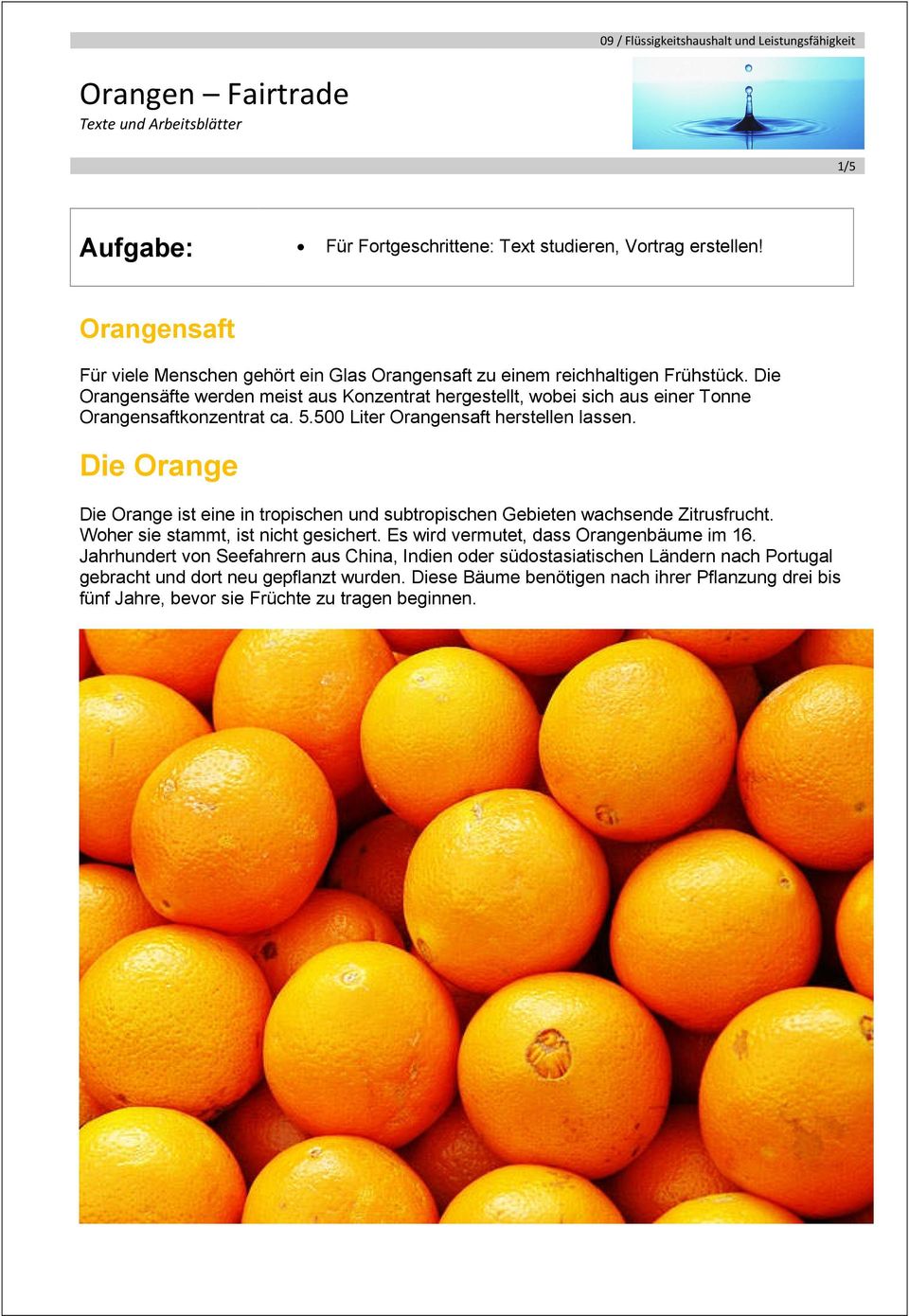 Die Orange Die Orange ist eine in tropischen und subtropischen Gebieten wachsende Zitrusfrucht. Woher sie stammt, ist nicht gesichert. Es wird vermutet, dass Orangenbäume im 16.