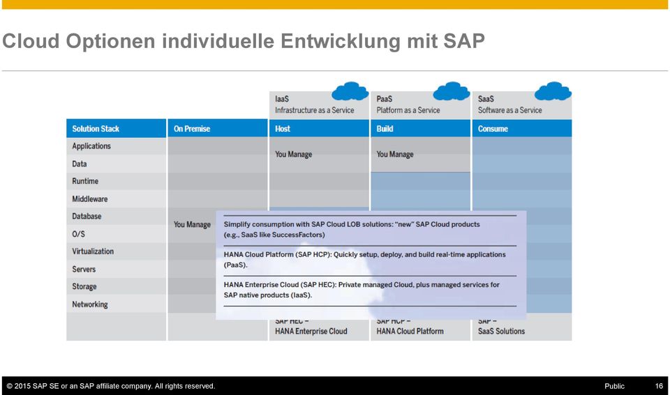 SE or an SAP affiliate
