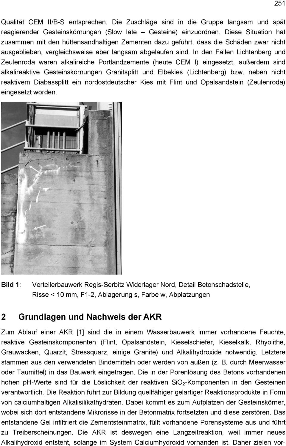 In den Fällen Lichtenberg und Zeulenroda waren alkalireiche Portlandzemente (heute CEM I) eingesetzt, außerdem sind alkalireaktive Gesteinskörnungen Granitsplitt und Elbekies (Lichtenberg) bzw.