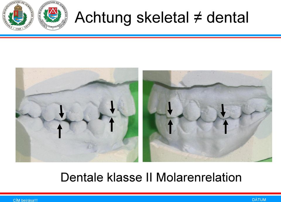 dental Dentale