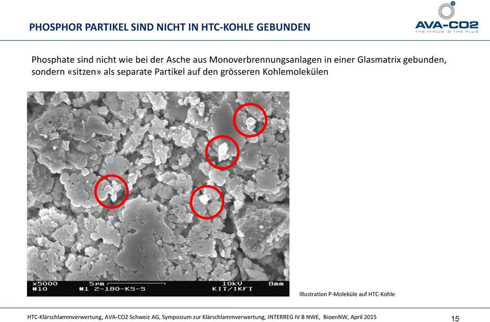 auf den grösseren Kohlemolekülen Illustration P-Moleküle auf HTC-Kohle