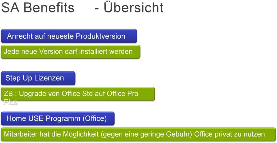: Upgrade von Office Std auf Office Pro Plus Home USE Programm