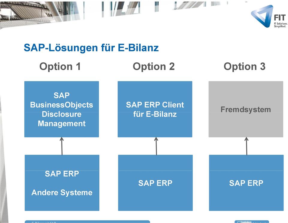 Management SAP ERP Client für E-Bilanz