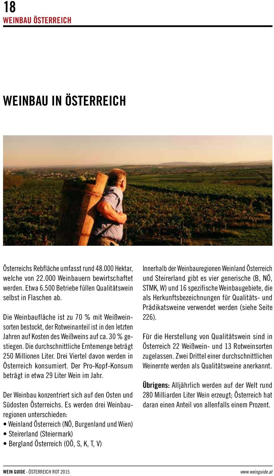 30 % gestiegen. Die durchschnittliche Erntemenge beträgt 250 Millionen Liter. Drei Viertel davon werden in Österreich konsumiert. Der Pro-Kopf-Konsum beträgt in etwa 29 Liter Wein im Jahr.