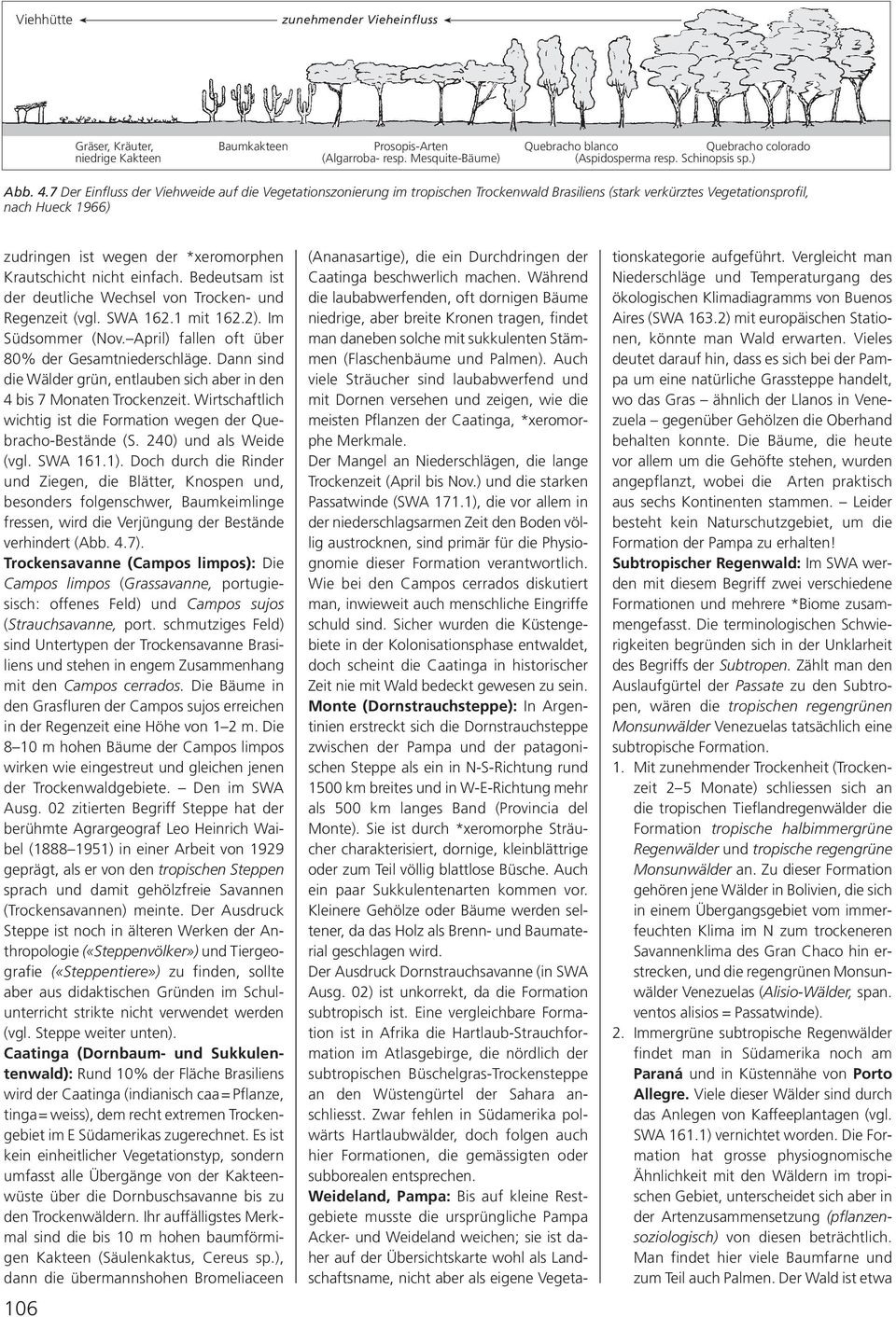 7 Der Einfluss der Viehweide auf die Vegetationszonierung im tropischen Trockenwald Brasiliens (stark verkürztes Vegetationsprofil, nach Hueck 1966) zudringen ist wegen der *xeromorphen Krautschicht