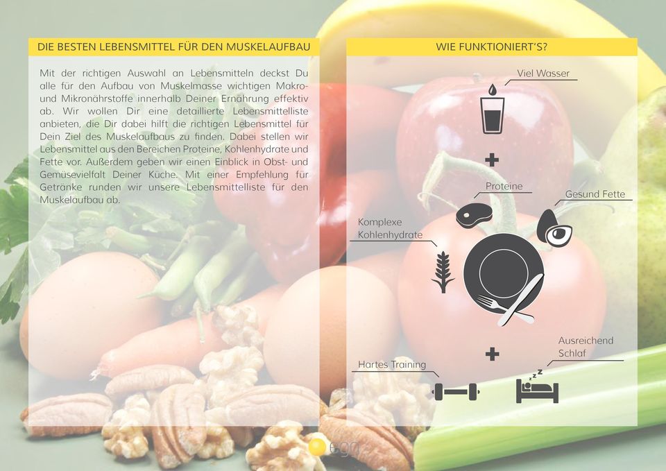Dabei stellen wir Lebensmittel aus den Bereichen Proteine, Kohlenhydrate und Fette vor. Außerdem geben wir einen Einblick in Obst- und Gemüsevielfalt Deiner Küche.