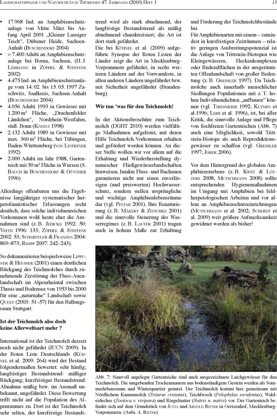 J. LEHMANN in ZÖPHEL & STEFFENS 2002) 4.475 Ind. an Amphibienschutzanlage vom 14. 02. bis 15. 05. 1997 Zaschwitz, Saalkreis, Sachsen-Anhalt (BUSCHENDORF 2004) 4.056 Adulti 1993 in Gewässer mit 1.