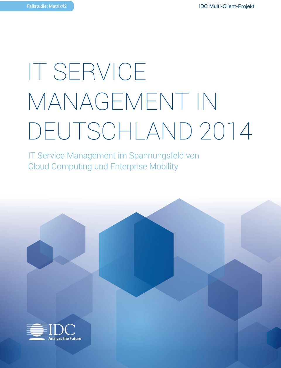 IN DEUTSCHLAND 2014 it Service management