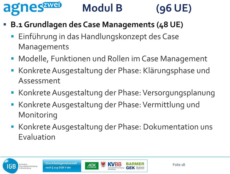 Modelle, Funktionen und Rollen im Case Management Konkrete Ausgestaltung der Phase: Klärungsphase und