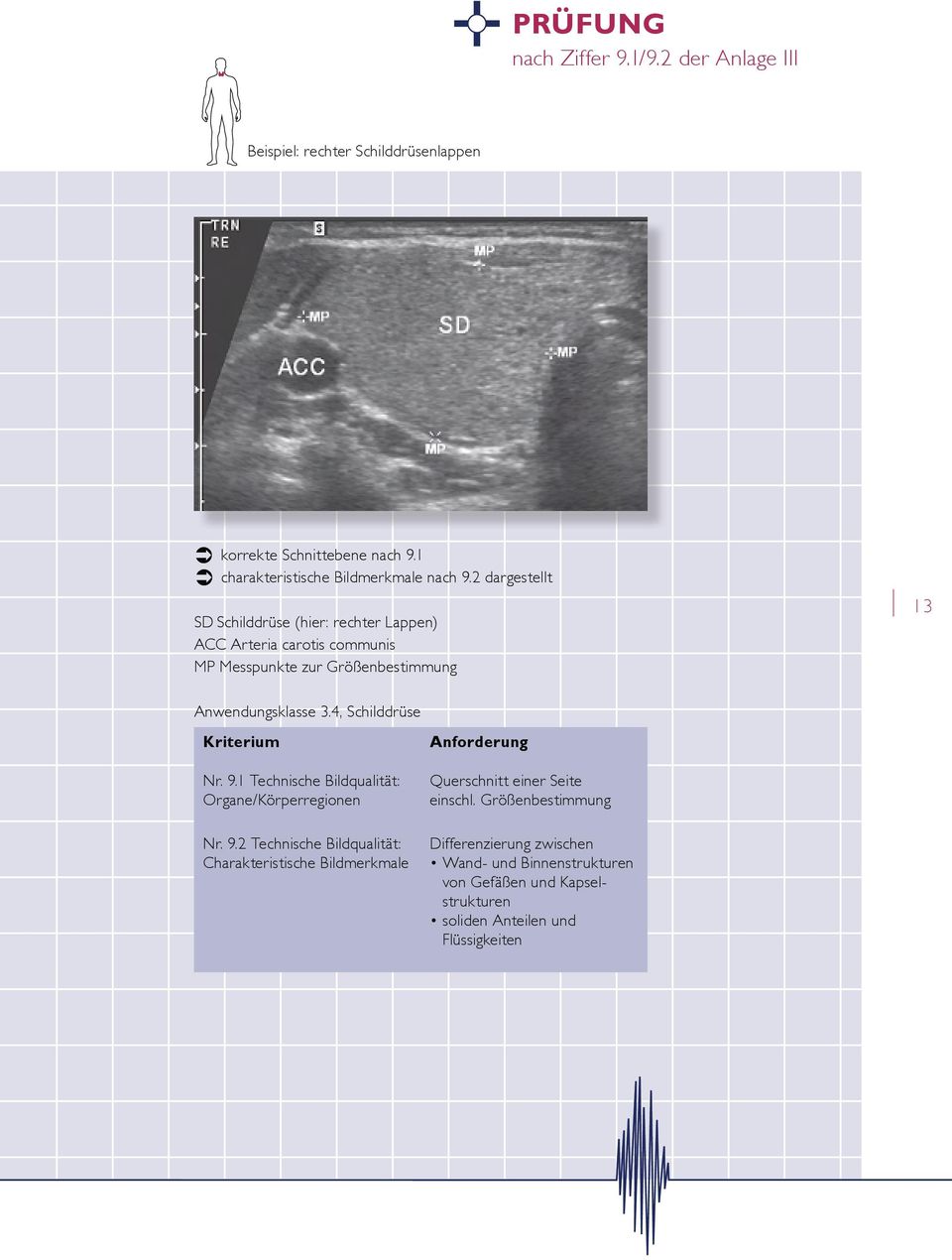 4, Schilddrüse Kriterium Nr. 9.1 Technische Bildqualität: Organe/Körperregionen Nr. 9.2 Technische Bildqualität: Charakteristische Bildmerkmale Anforderung Querschnitt einer Seite einschl.