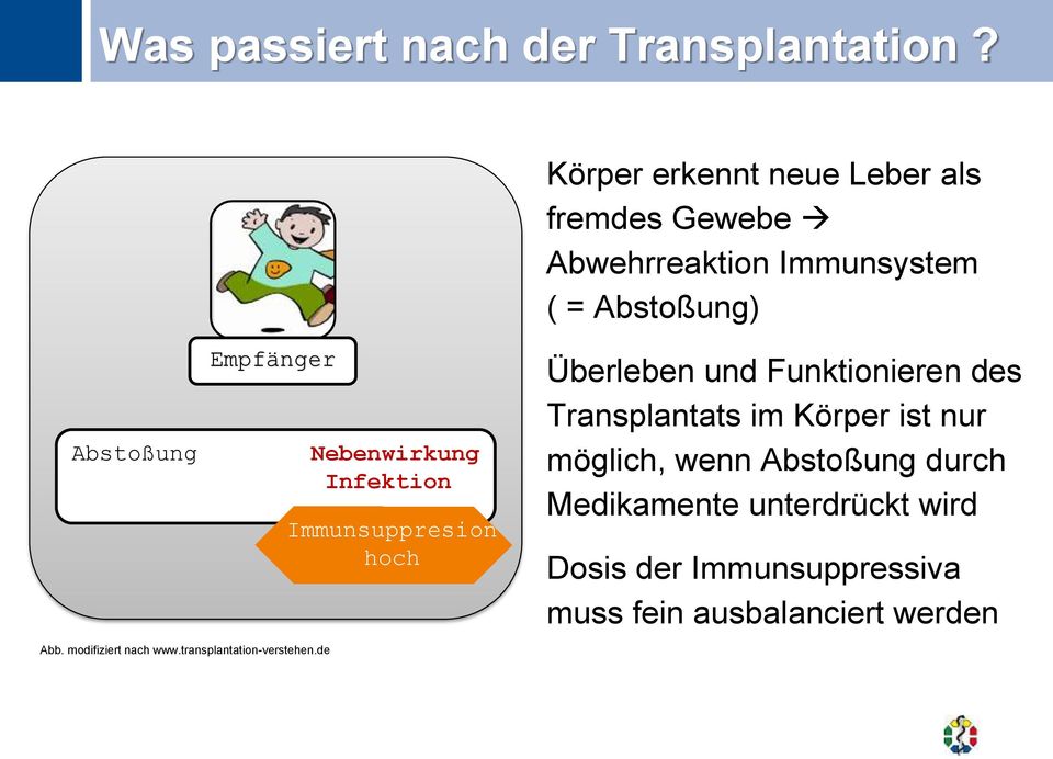 Abb. modifiziert nach www.transplantation-verstehen.