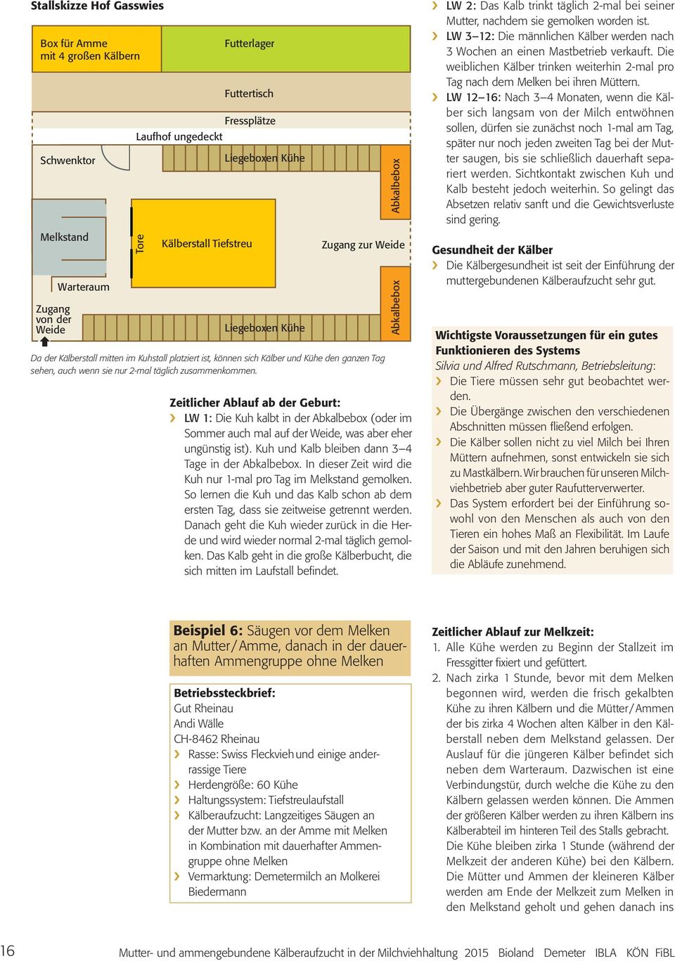 zusammenkommen. Zeitlicher Ablauf ab der Geburt: LW 1: Die Kuh kalbt in der Abkalbebox (oder im Sommer auch mal auf der Weide, was aber eher ungünstig ist).