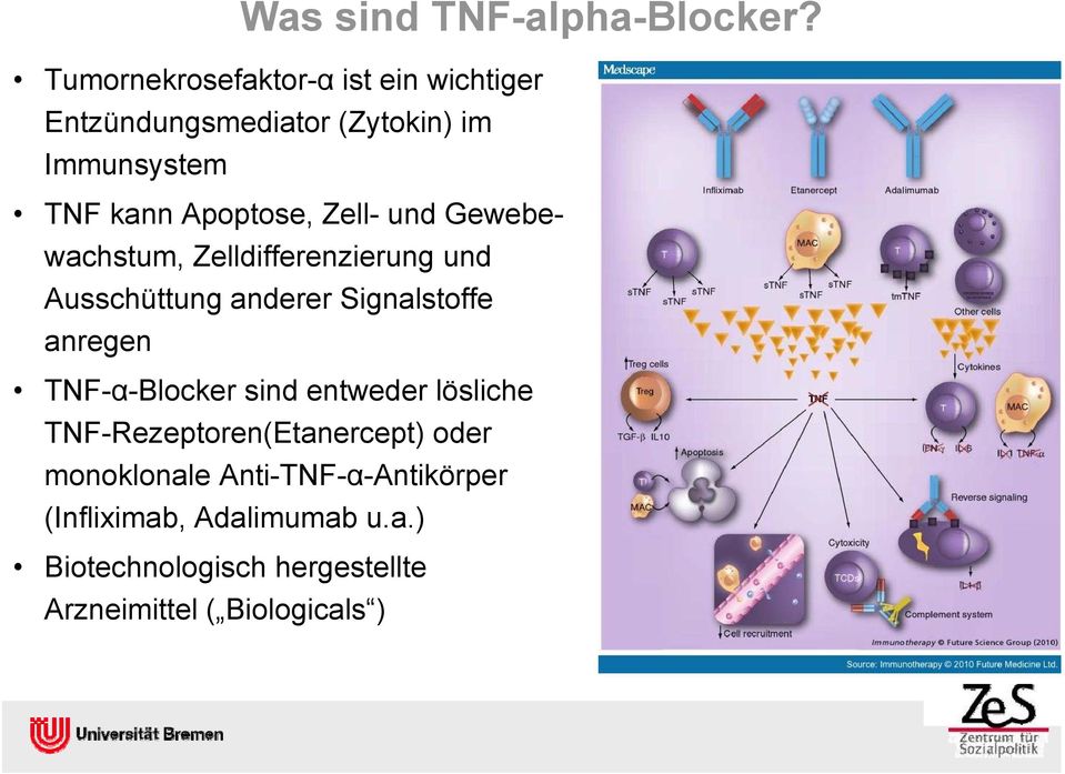Zell- und Gewebewachstum, Zelldifferenzierung und Ausschüttung anderer Signalstoffe anregen TNF-α-Blocker