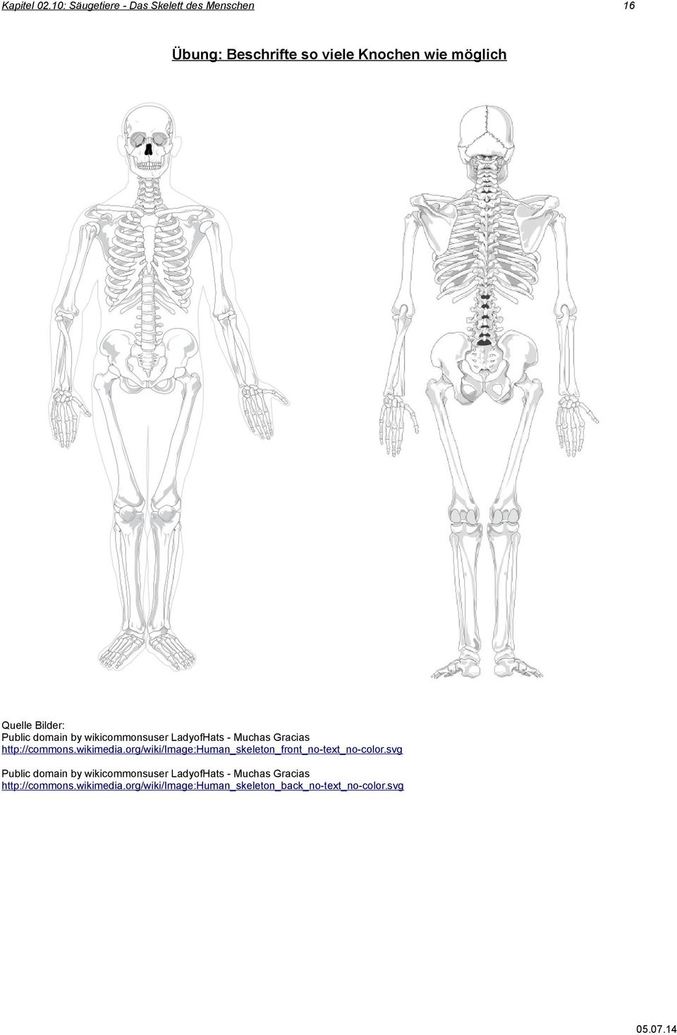 org/wiki/image:human_skeleton_front_no-text_no-color.