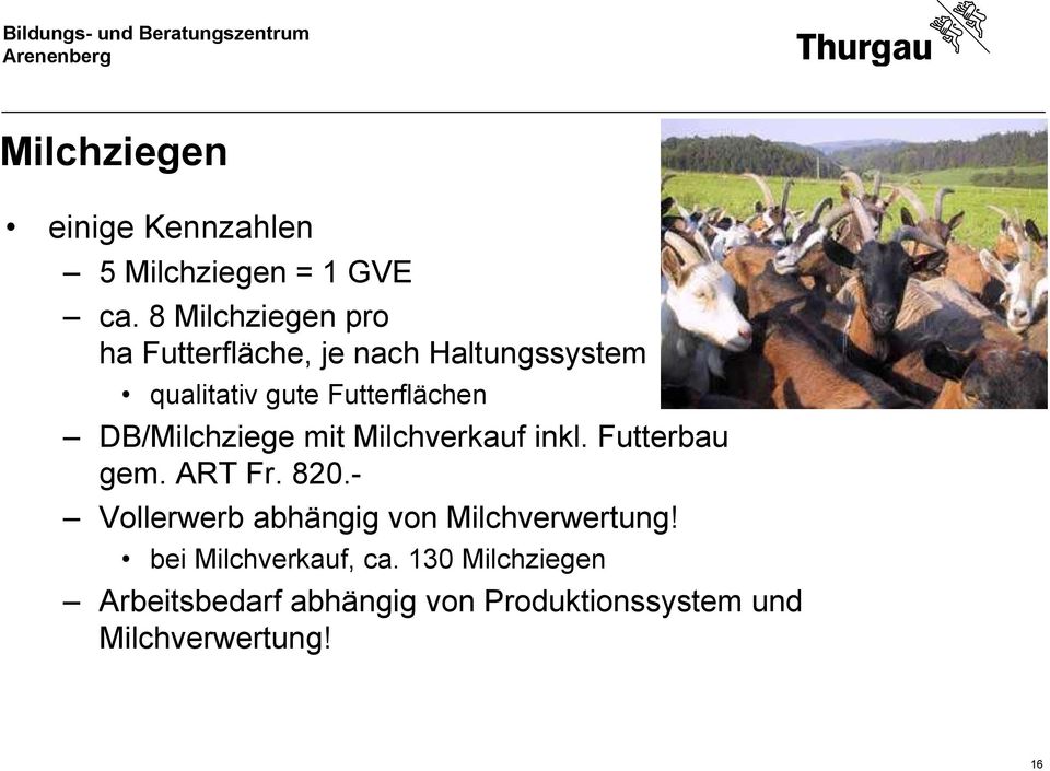 DB/Milchziege mit Milchverkauf inkl. Futterbau gem. ART Fr. 820.