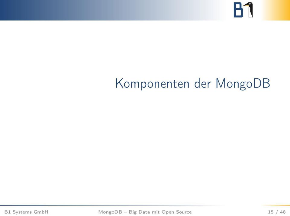 GmbH MongoDB Big