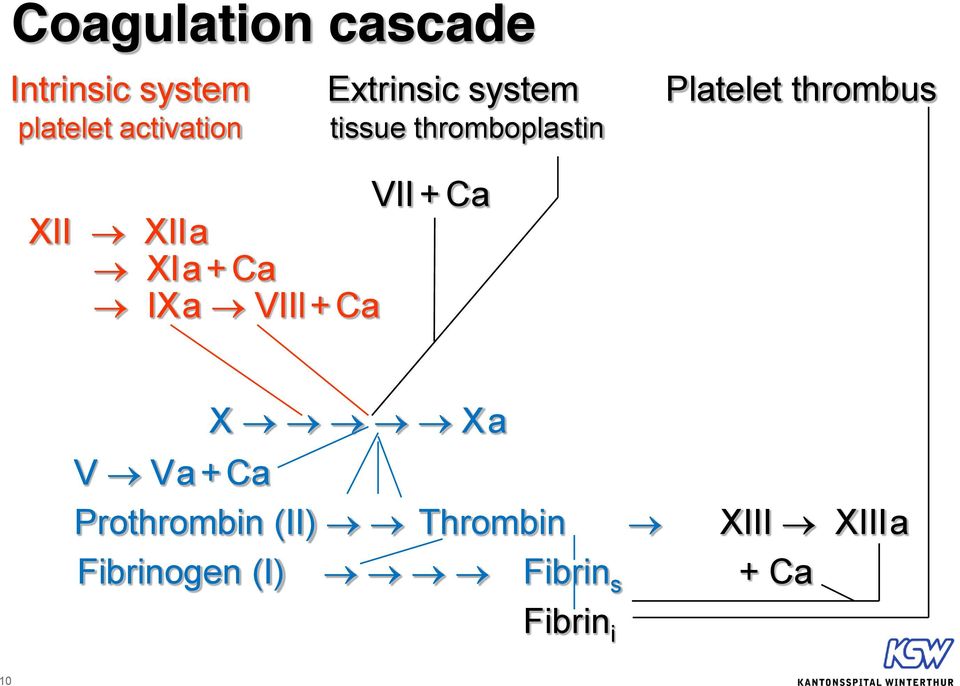 XII a XI a + Ca IX a VIIl + Ca V V a + Ca X X a Prothrombin