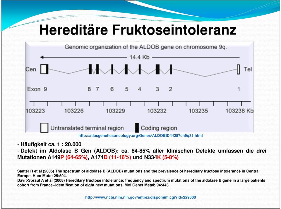 and the prevalence of hereditary fructose intolerance in Central Europe. Hum Mutat 25:594.