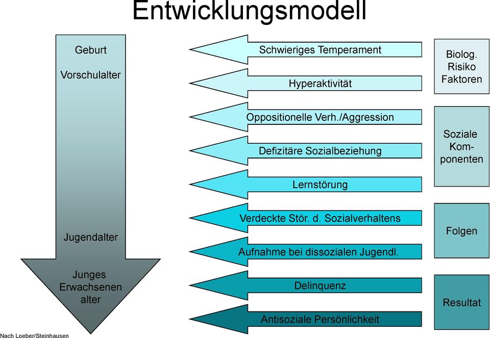 /Aggression Defizitäre Sozialbeziehung Lernstörung Soziale Komponenten Nach Loeber/Steinhausen