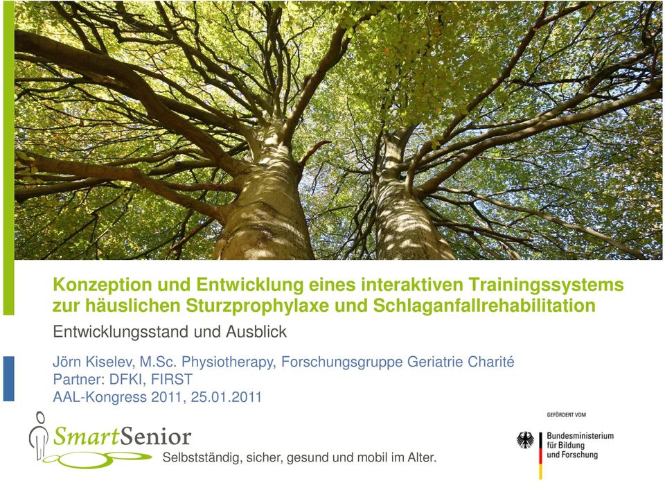 Physiotherapy, Forschungsgruppe Geriatrie Charité Partner: DFKI,