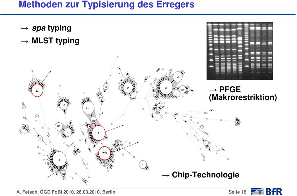 (Makrorestriktion) Chip-Technologie A.