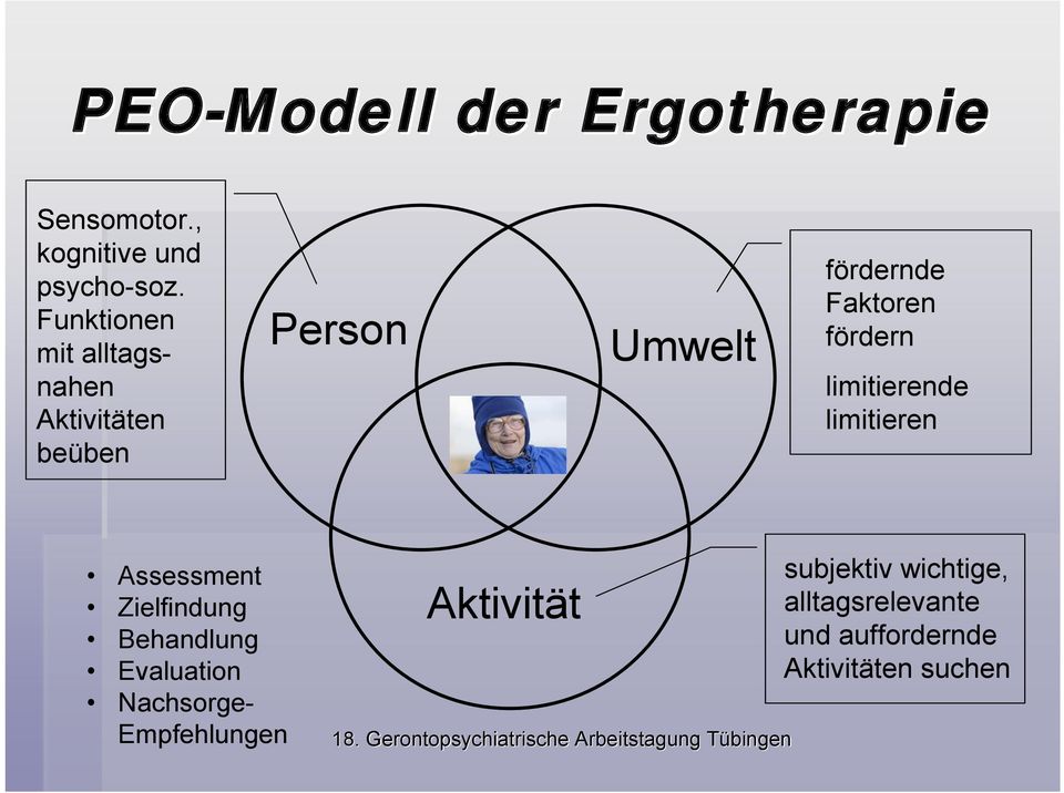 fördern limitierende limitieren Assessment Zielfindung Behandlung Evaluation