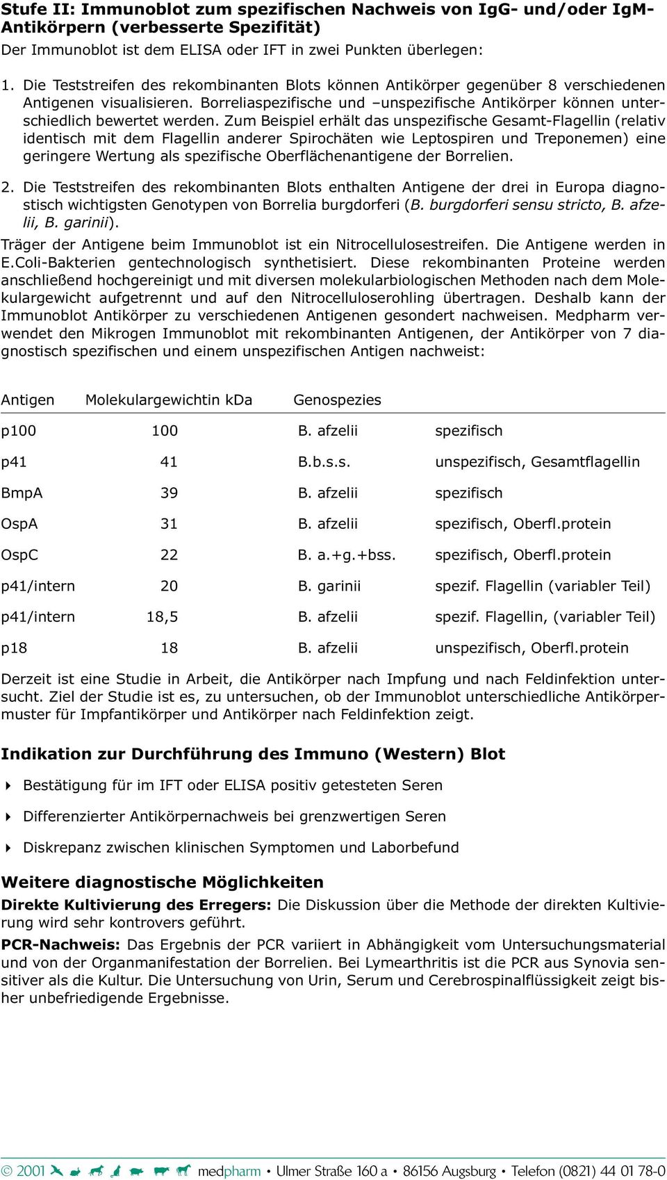 Zum Beispiel erhält das unspezifische Gesamt-Flagellin (relativ identisch mit dem Flagellin anderer Spirochäten wie Leptospiren und Treponemen) eine geringere Wertung als spezifische