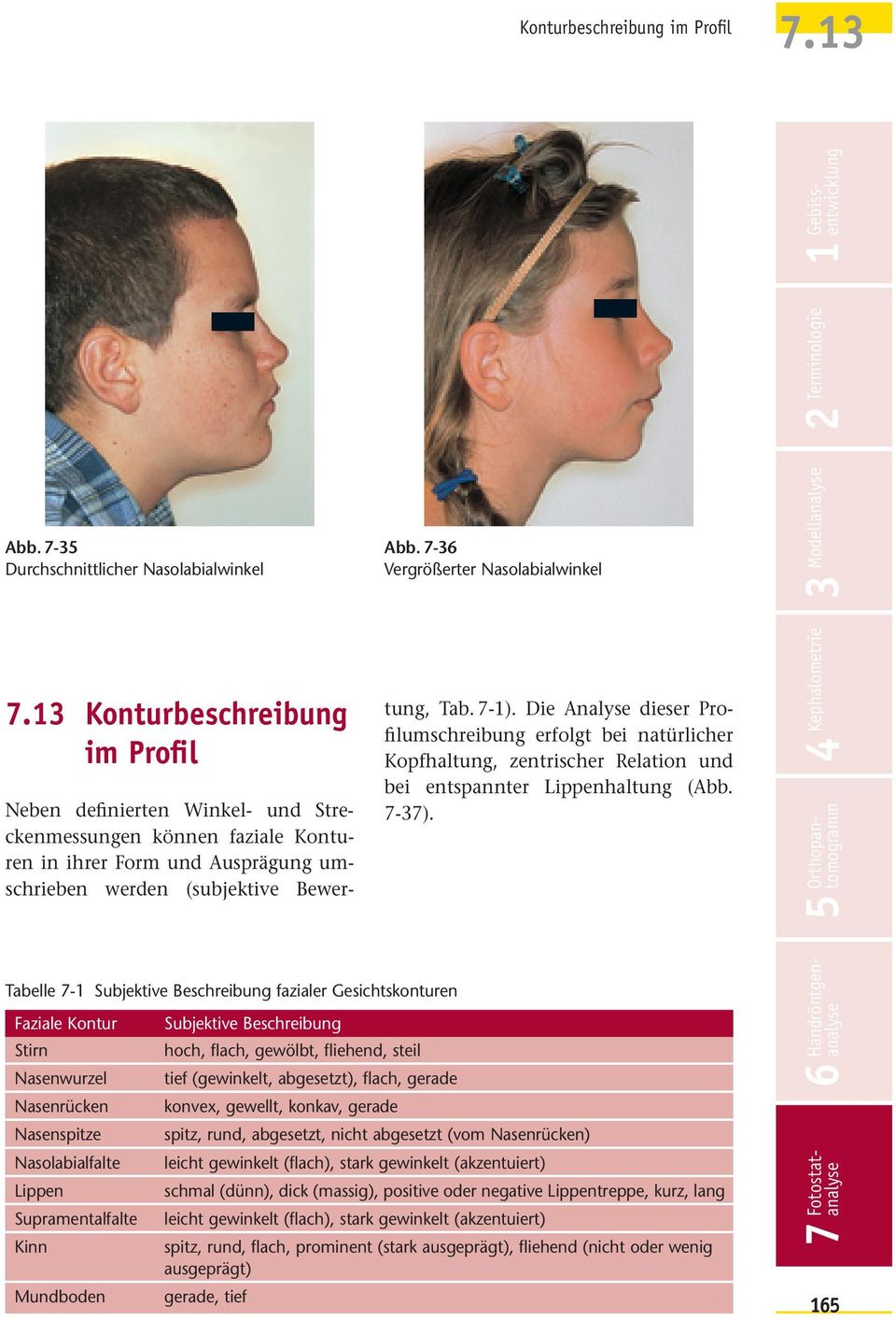 Die Analyse dieser Profilumschreibung erfolgt bei natürlicher Kopfhaltung, zentrischer Relation und bei entspannter Lippenhaltung (Abb. 7-37).