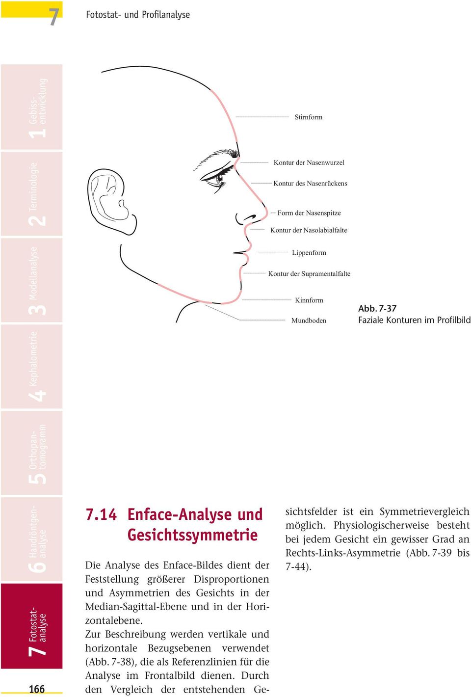 14 Enface-Analyse und Gesichtssymmetrie Die Analyse des Enface-Bildes dient der Feststellung größerer Disproportionen und Asymmetrien des Gesichts in der Median-Sagittal-Ebene und in der