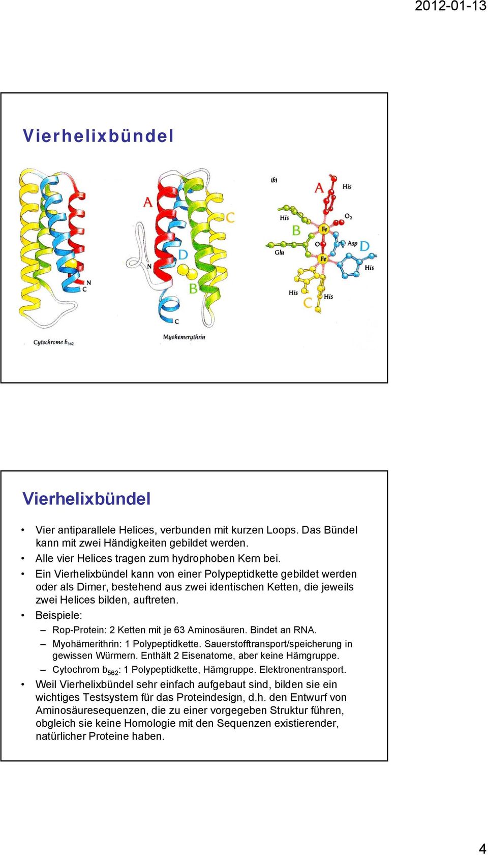 Beispiele: Rop-Protein: 2 Ketten mit je 63 Aminosäuren. Bindet an RNA. Myohämerithrin: 1 Polypeptidkette. Sauerstofftransport/speicherung in gewissen Würmern.