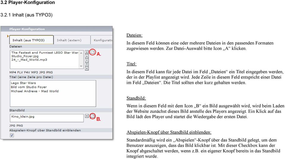 Die Titel sollten eher kurz gehalten werden. Standbild: Wenn in diesem Feld mit dem Icon B ein Bild ausgewählt wird, wird beim Laden der Website zunächst dieses Bild anstelle des Players angezeigt.
