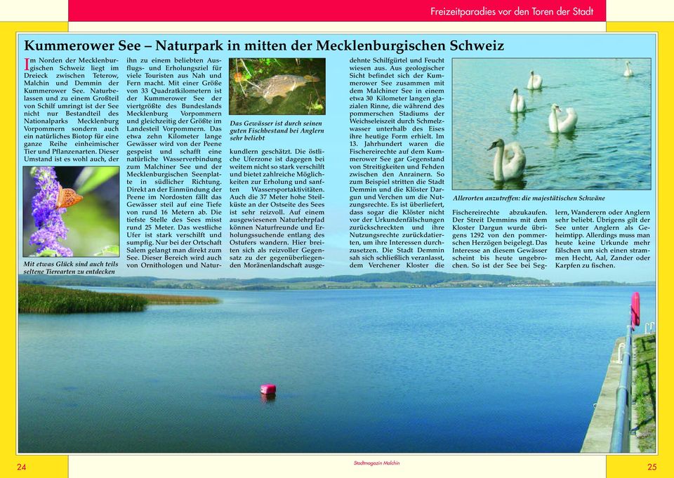 Naturbelassen und zu einem Großteil von chilf umringt ist der ee nicht nur Bestandteil des Nationalparks Mecklenburg Vorpommern sondern auch ein natürliches Biotop für eine ganze Reihe einheimischer